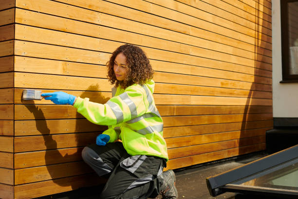 Best Stone Veneer Siding  in Steelevle, IL